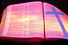 Welcome to Biblical Tour Guide