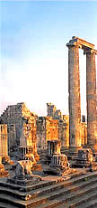 Biblical Asia Minor Tour - Didyma